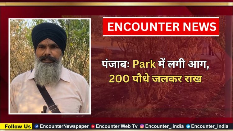 पंजाबः Park में लगी आग, 200 पौधे जलकर राख, देखें वीडियो