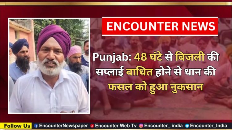 Punjab: 48 घंटे से बिजली की सप्लाई बाधित होने से धान की फसल को हुआ नुकसान, देखें वीडियो 