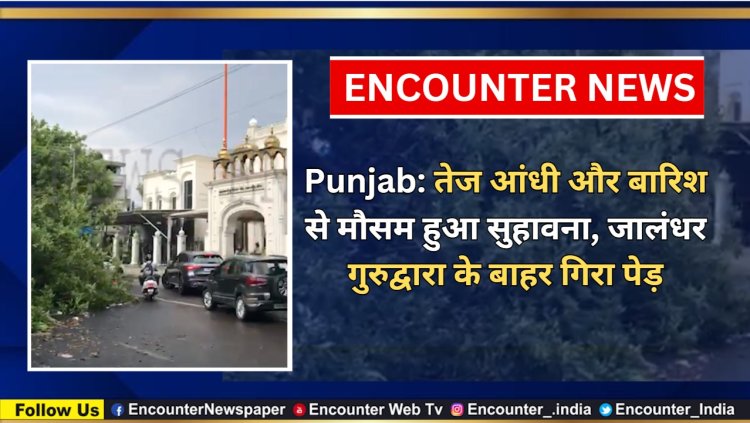 Punjab: तेज आंधी और बारिश से मौसम हुआ सुहावना, जालंधर गुरुद्वारा के बाहर गिरा पेड़, देखें वीडियो